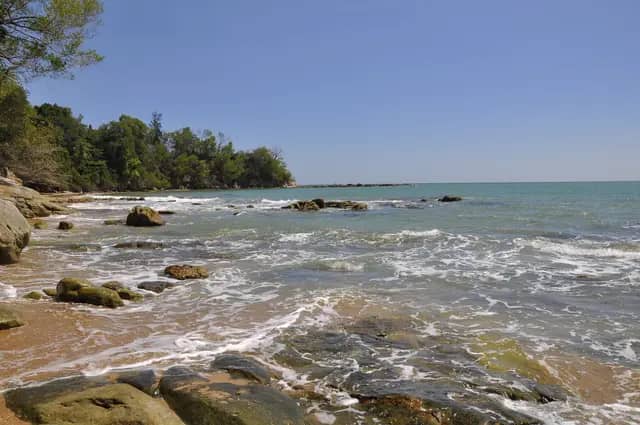 Belait Sandstone Tanjung Kubong