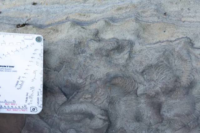 Strike Ridges of Labuan