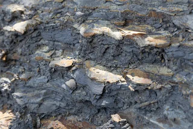 Shoreface Deposit Simpang Sweetman