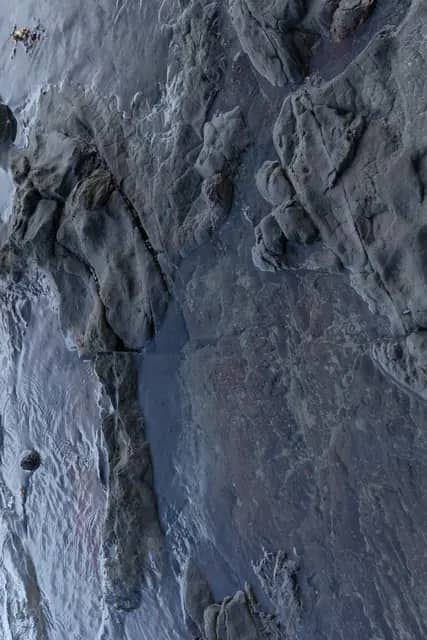 Trace Fossil Tanjung Punei