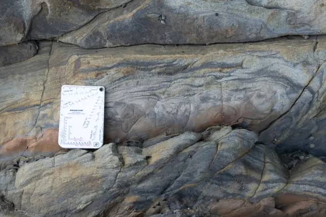 Trace Fossil Tanjung Punei