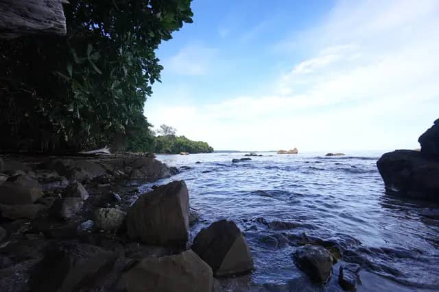 Trace Fossil Tanjung Punei