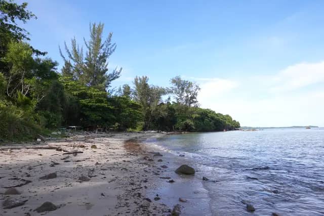 Trace Fossil Tanjung Punei