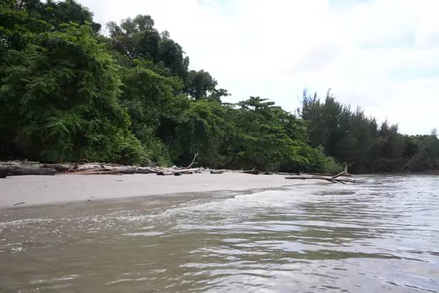 Trace Fossil Tanjung Punei