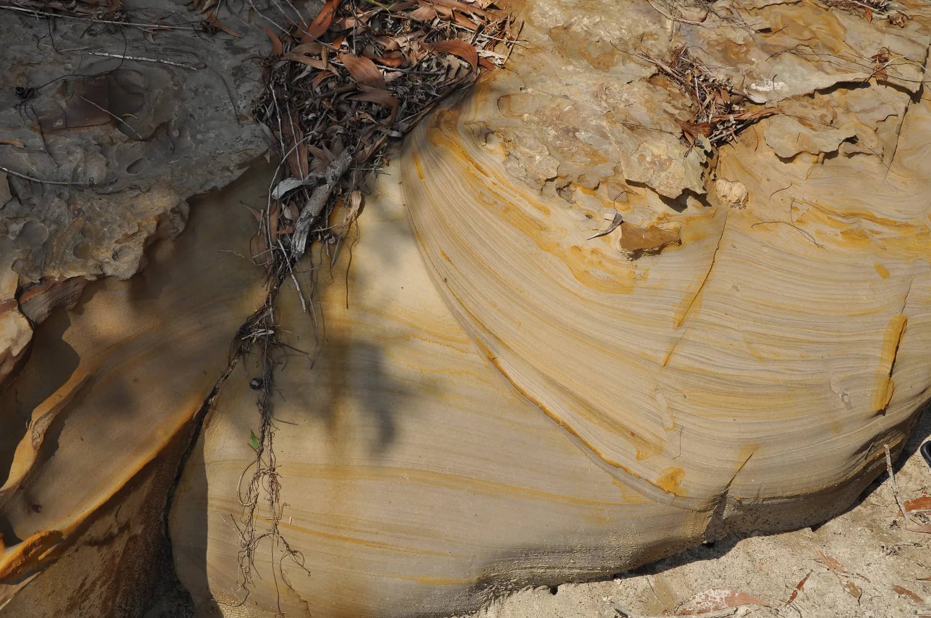Upper Belait Sandstone Tanjung Batu