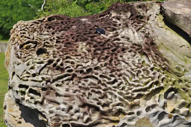 Upper Belait Sandstone Tanjung Batu