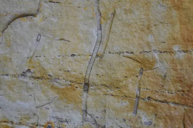 Upper Belait Sandstone Tanjung Batu