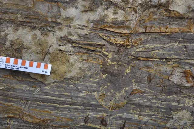 Upper Belait Sandstone Tanjung Batu