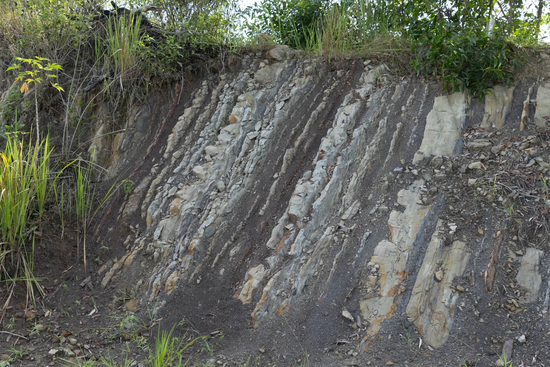 Temburong Sedimentary Rock Bebuloh Darat