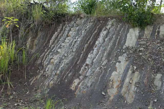 Temburong Sedimentary Rock Bebuloh Darat