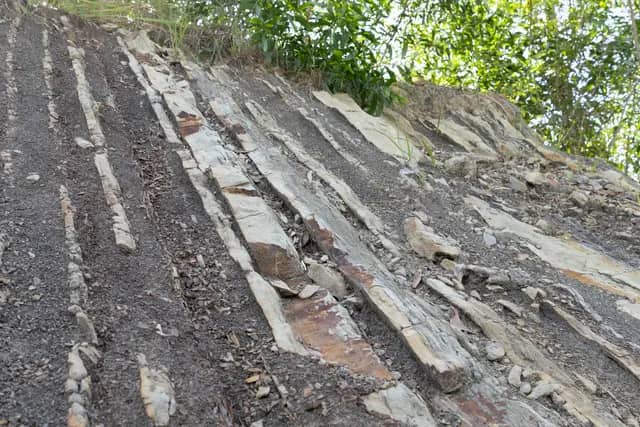 Temburong Sedimentary Rock Bebuloh Darat