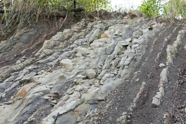 Temburong Sedimentary Rock Bebuloh Darat