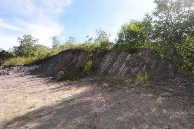 Temburong Sedimentary Rock Bebuloh Darat