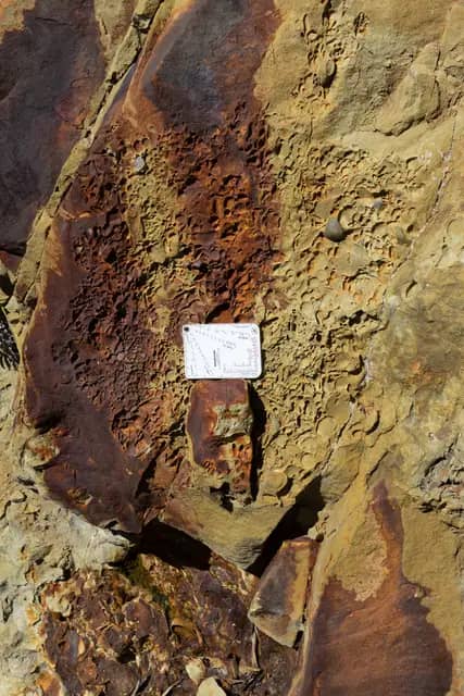 Oil Reservoir Rock Ganggarak