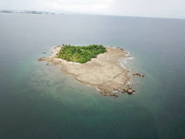 Limestone Reef Burong Island