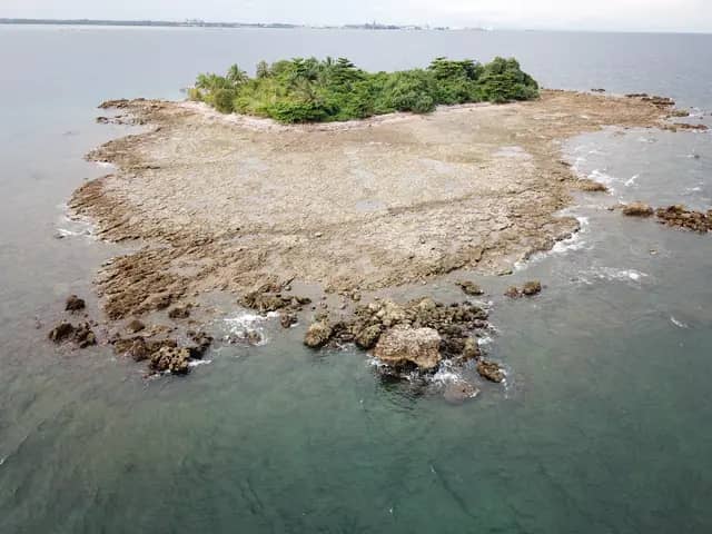 Limestone Reef Burong Island