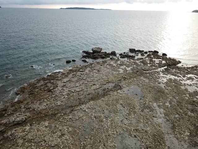 Limestone Reef Burong Island
