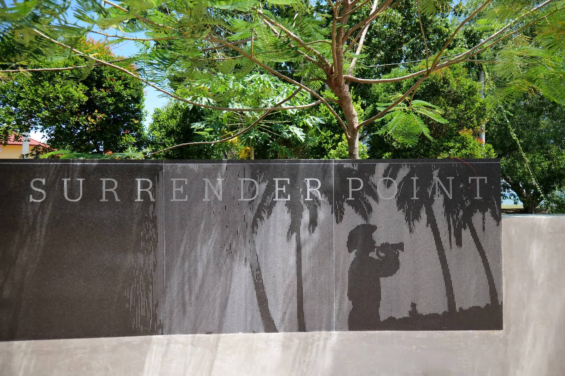 Surrender Point