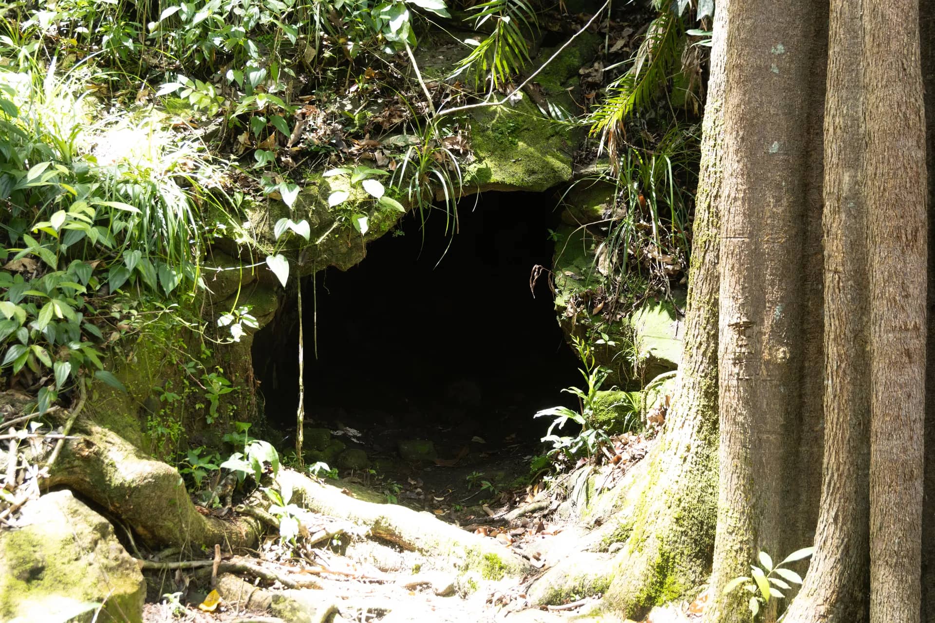 Ex-Coal Mine Lubok Temiang